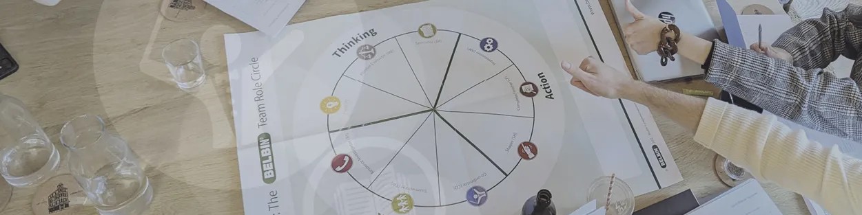 A csapat mint rendszer – Belbin a gyakorlatban képzés